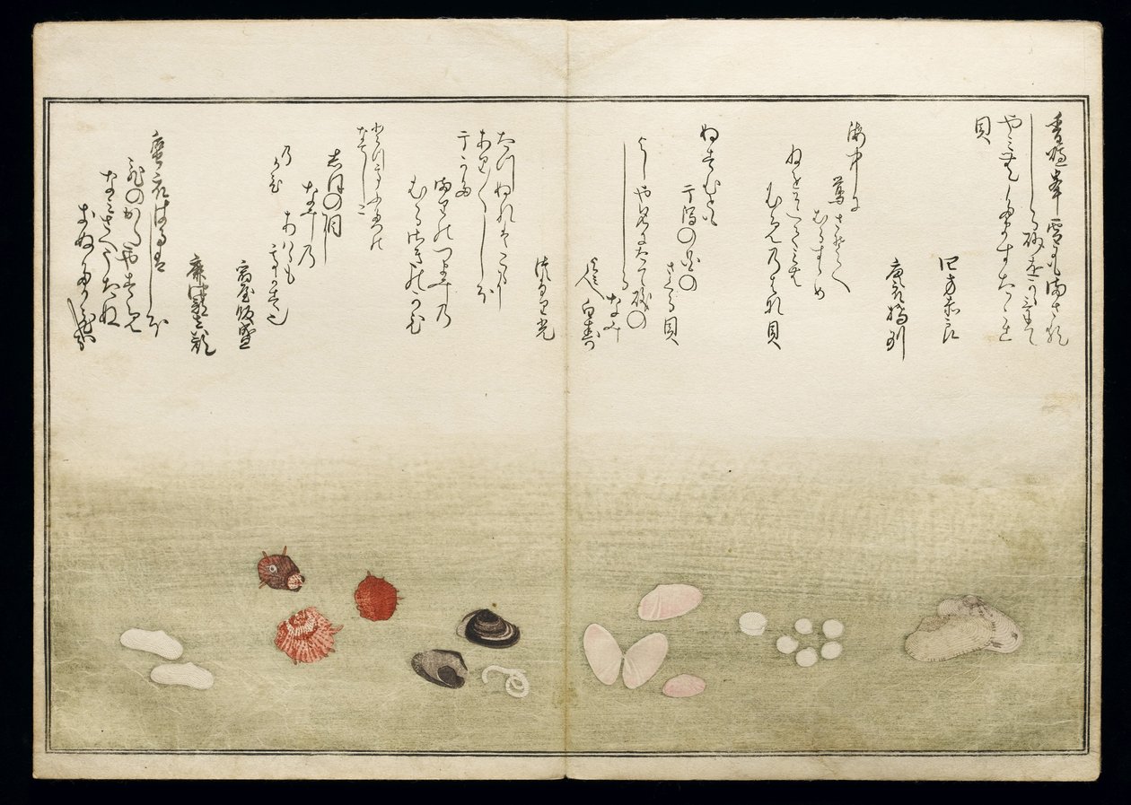 Shiohi no tsuto (Gaver fra Ebb Tide), kjent som Shell Book, 1789 (farget treblokktrykk) av Kitagawa Utamaro