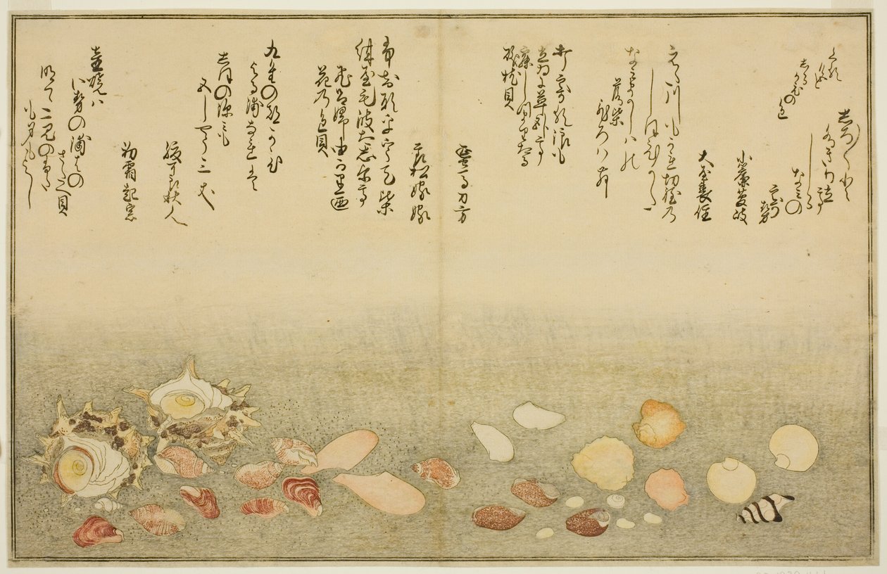 Shiro-gai, namima-gashiwa, makura-gai, iro-gai, aza-gai, sadae-gai, fra den illustrerte boken "Gaves from the Ebb Tide (Shiohi no tsuto)" av Kitagawa Utamaro
