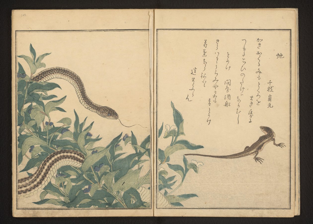 Slange og øgle ved en busk av Kitagawa Utamaro