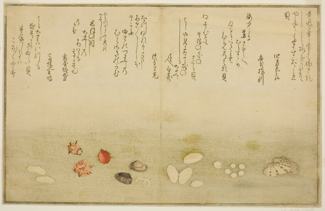 Sudare ute, blomst ute, kirsebærblomst ute, ingen agat, nadeshiko utenfor, idea d Kinuta utenfor, fra tee st latte bracts of the tidevann)" av Kitagawa Utamaro