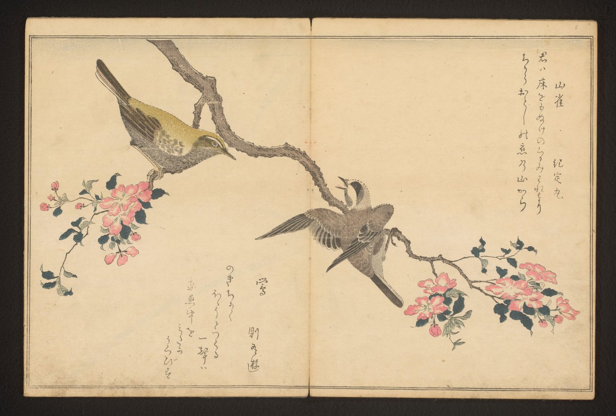 Meis og buskasanger av Kitagawa Utamaro