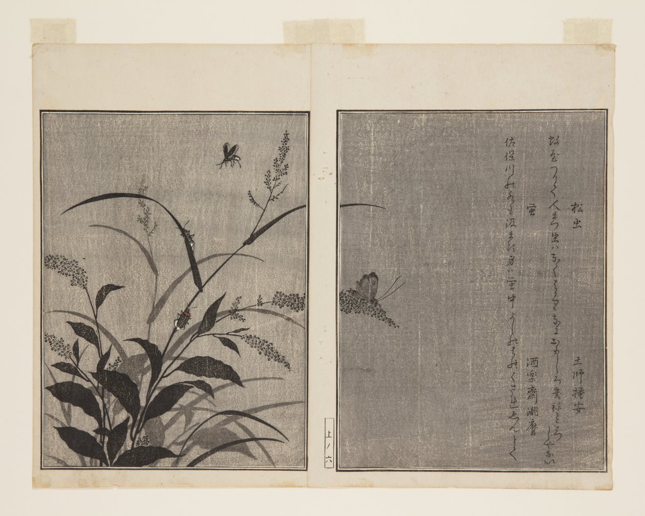 Tree Cricket (Matsumushi) og Firefly (Hotaru) (farget treblokktrykk) av Kitagawa Utamaro