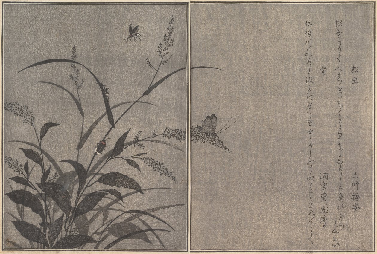 Trecricket Matsumushi, Firefly Hotaru..., 1788. av Kitagawa Utamaro