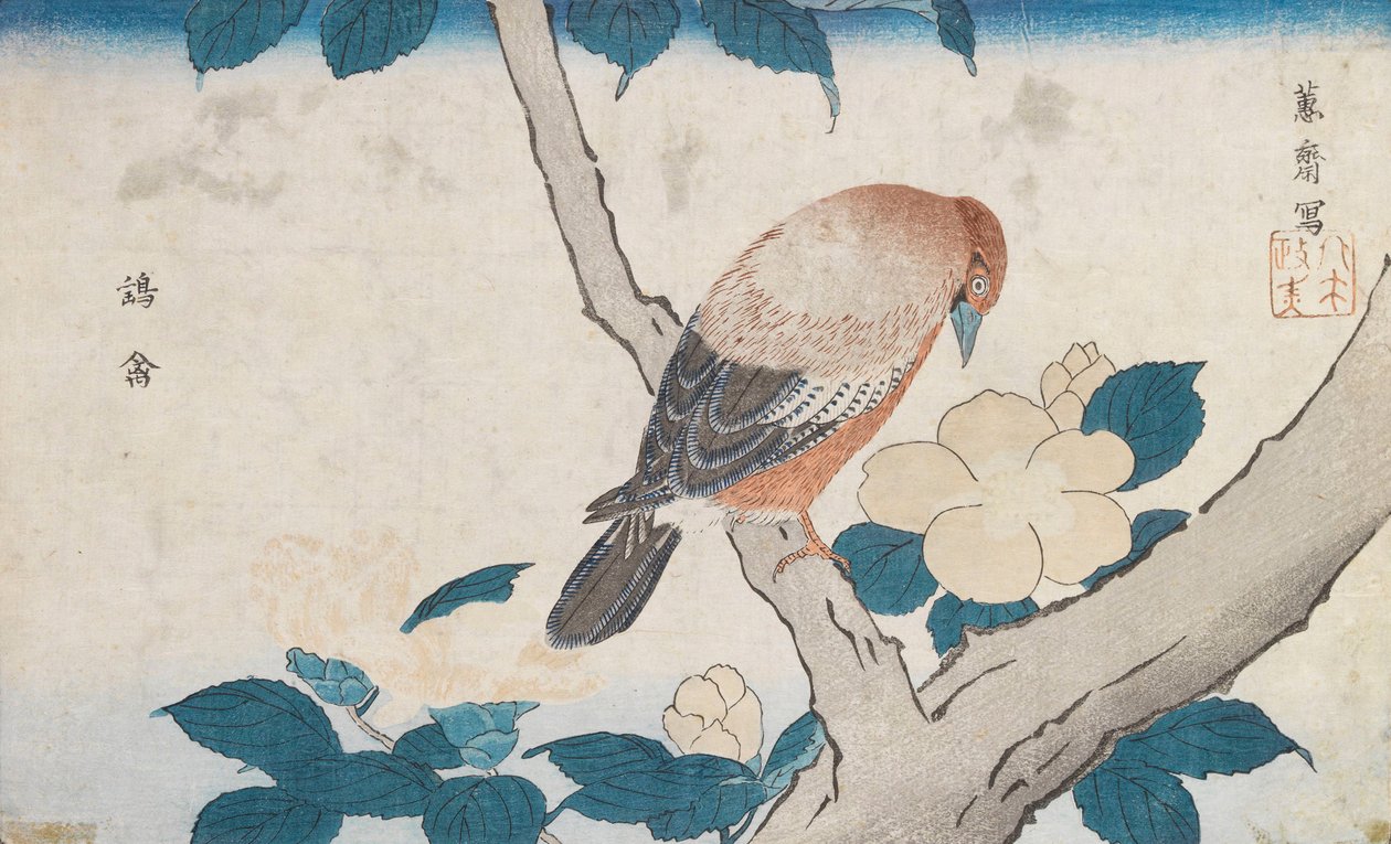 Uten navn av Kitao Masayoshi