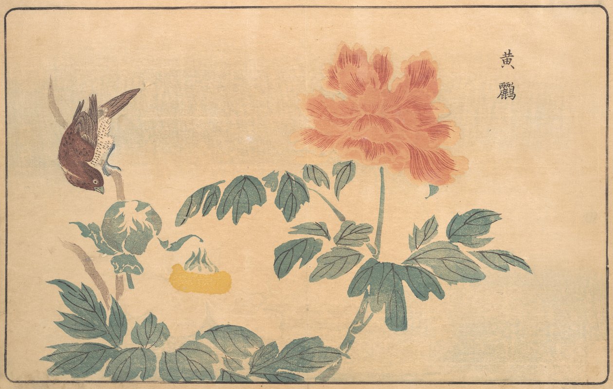 Kinesisk oriole og peoner, 1789. av Kitao Masayoshi