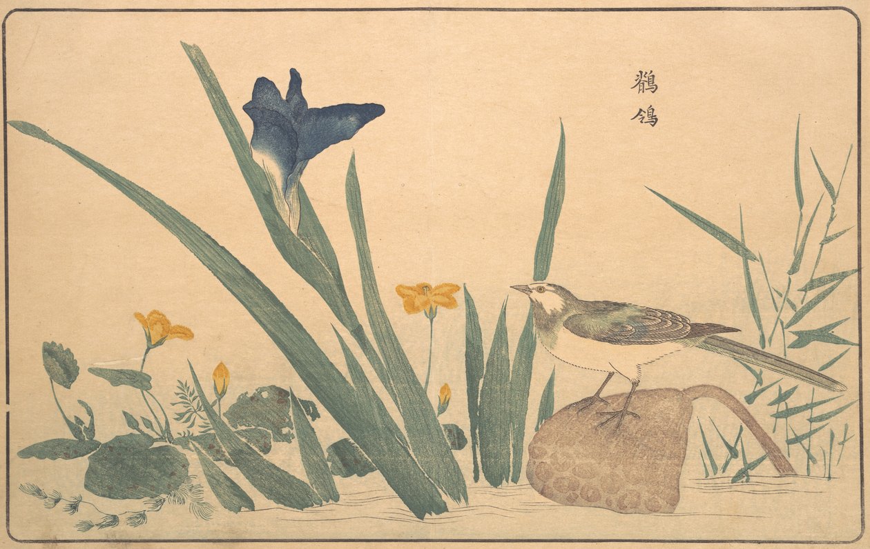 The Pied Viptail, 1789. av Kitao Masayoshi