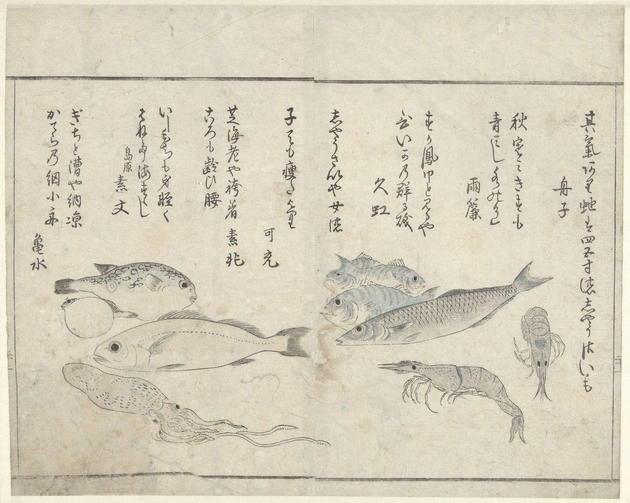 Sjødyr av Kitao Masayoshi