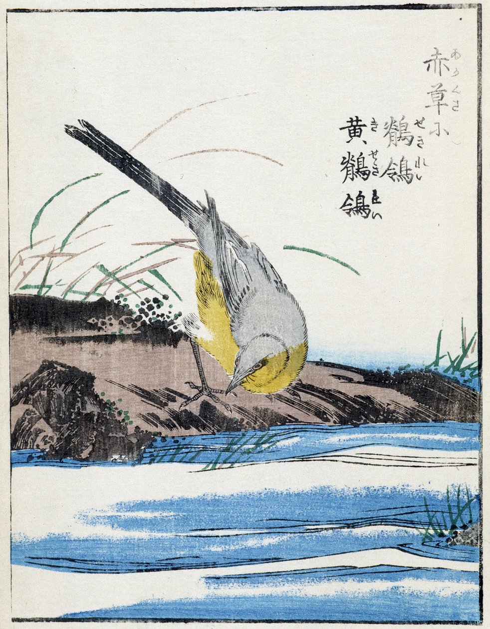 Fugl. Japansk tegning av Kitao Kosuisai av Kitao Shigemasa