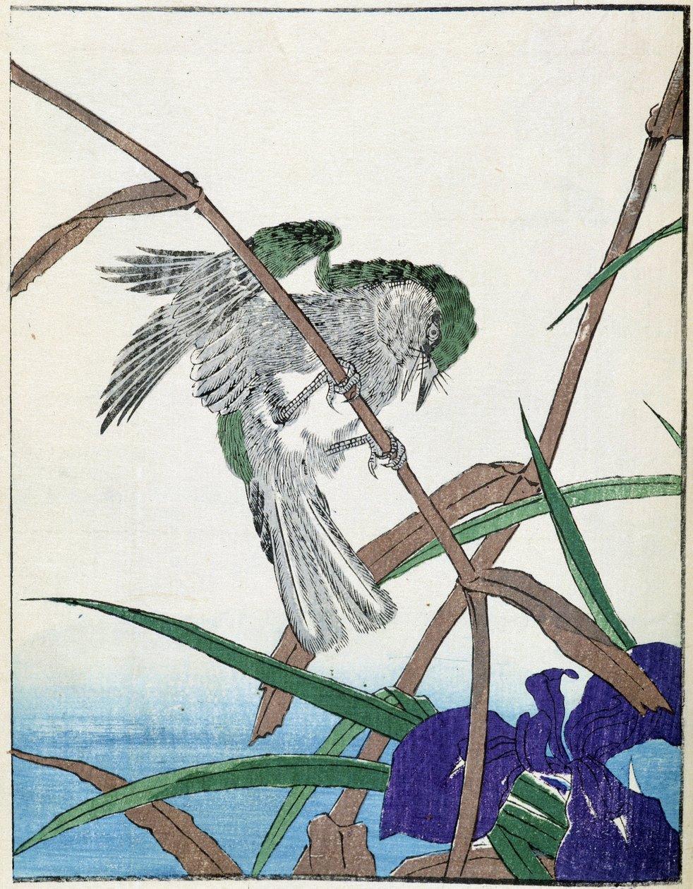 Fugl på et tre. Japansk tegning av Kitao Kosuisai av Kitao Shigemasa