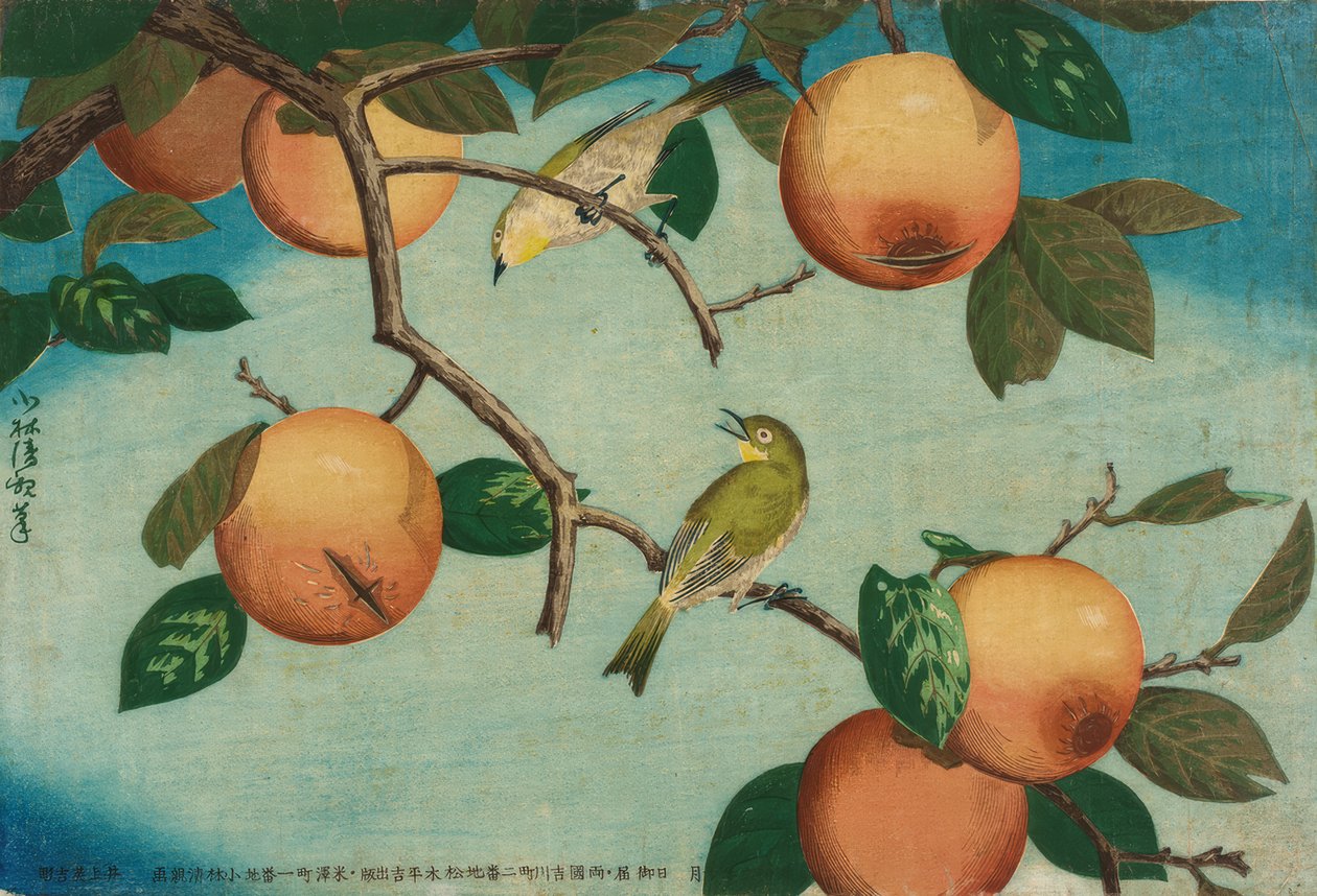 Persimmons og japanske briller fugler av Kiyochika Kobayashi
