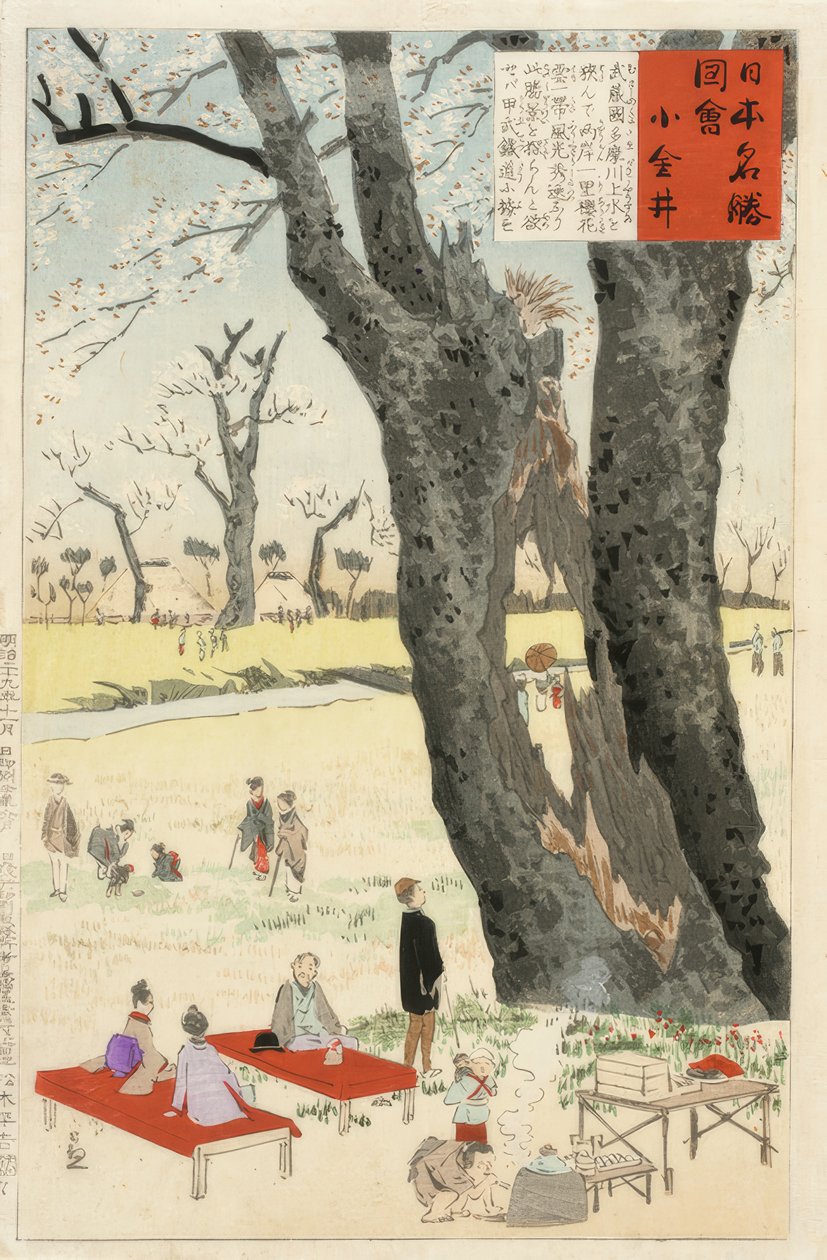 Koganei, kirsebærblomster av Kiyochika Kobayashi