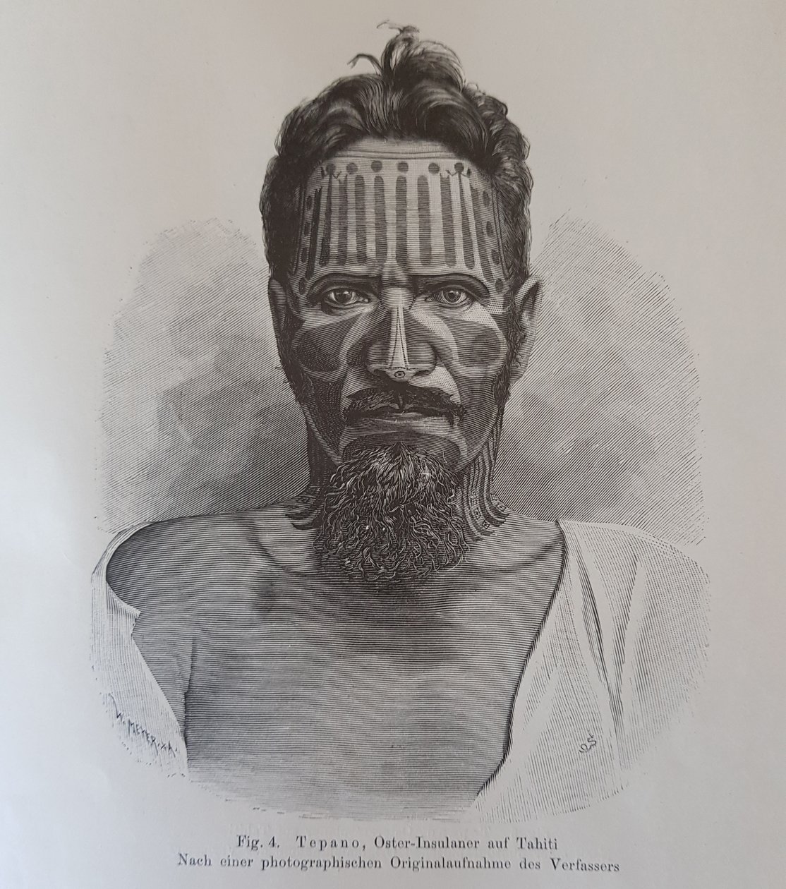 Juan Tepano, illustrasjon fra 'On the Tatooing of the Easter Islanders', av Hjalmar Stolpe av Knut Hjalmar (after) Stolpe
