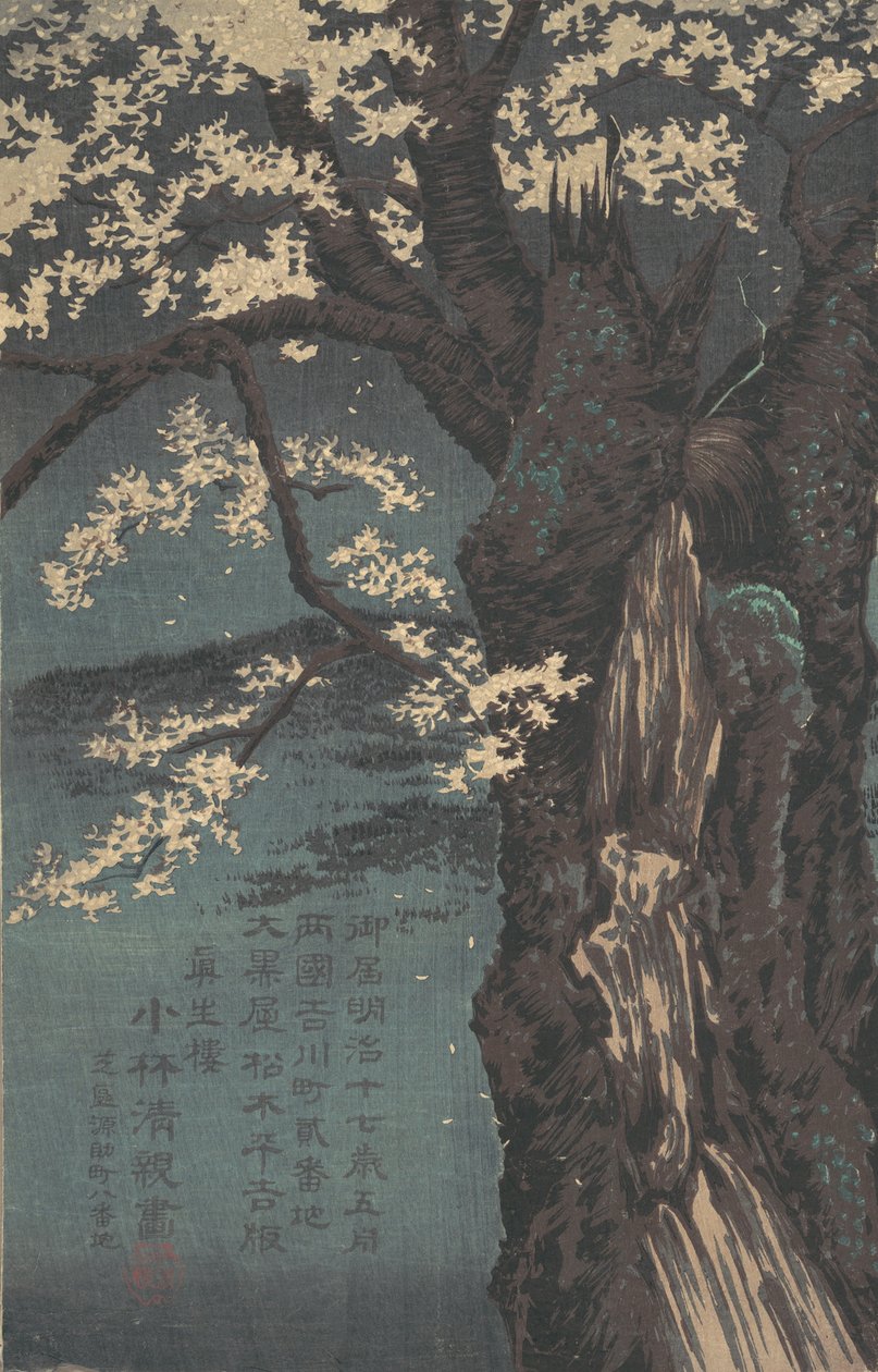 Kirsebærtre, datert 1874. av Kobayashi Kiyochika