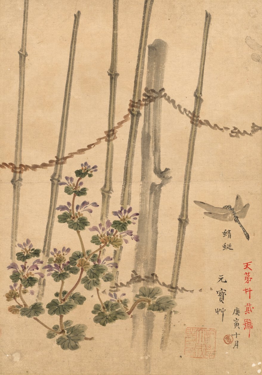 Bambusgjerde og krysantemum, ca. 1890. av Kono Bairei