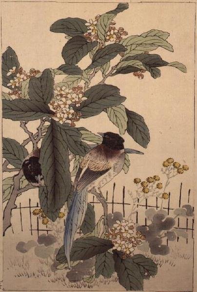 Blåhalefugler blant blomstene fra Bunrei Kacho Gafu, pub. 1885 av Kono Bairei