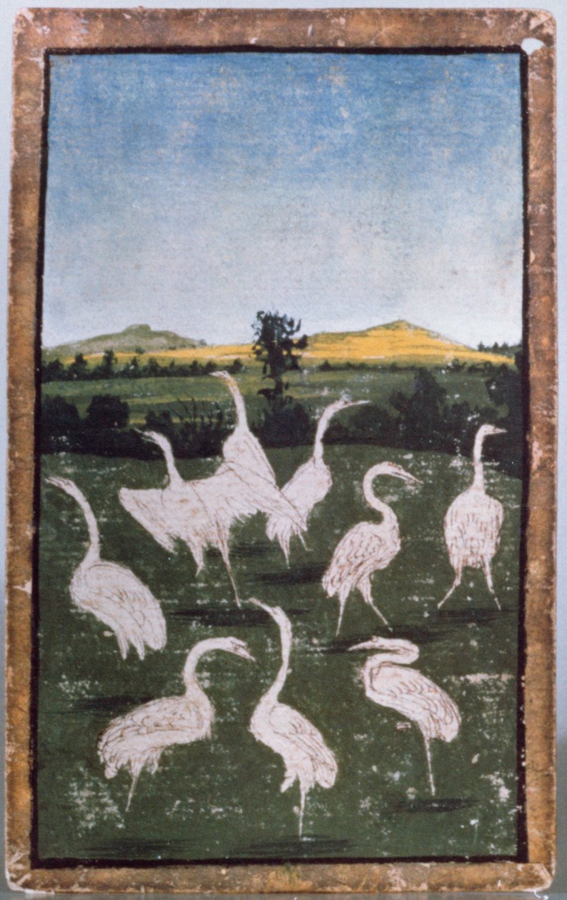 Hegre i et felt, ett av et sett med spillekort som viser scener med høvisk hauking, Upper Rhein-området, ca. 1440-45 (penn og blekk, wc) (se også 88300-04) av Konrad Witz