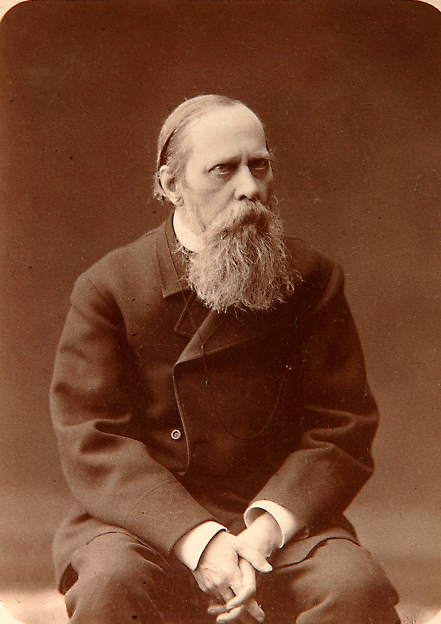 Mikhail Saltykov-Shchedrin, russisk forfatter, 1880-tallet av Konstantin Schapiro