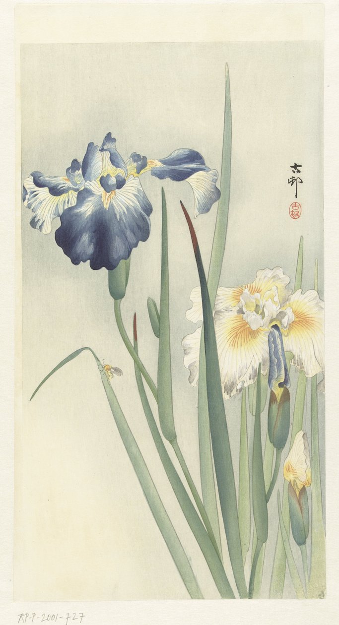 Iriser av Ohara Koson