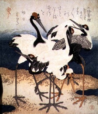 Fem traner med hvite fjær i forskjellige positurer på et sandspitt, fra Three Petals-serien, ca. 1816 (blekk) av Kubo Shumman