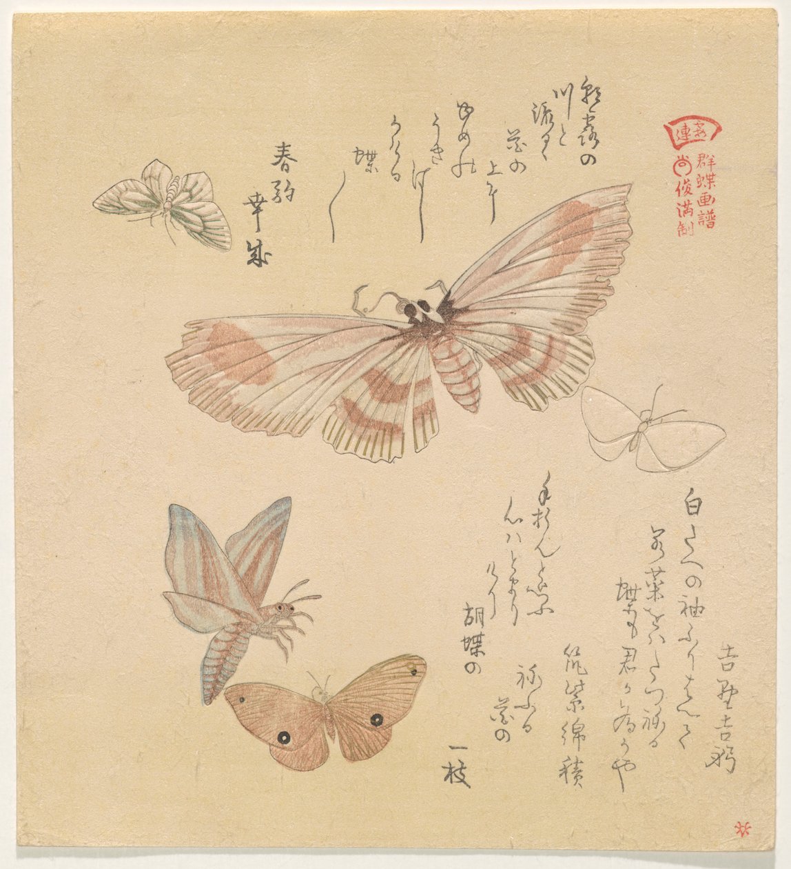 Sommerfugler og møll, fra serien A Flock of Butterflies (Gunch? Gafu) av Kubo Shunman