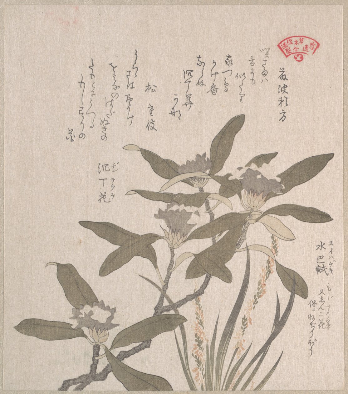 Daphne odora og Mojisuri-so av Kubo Shunman