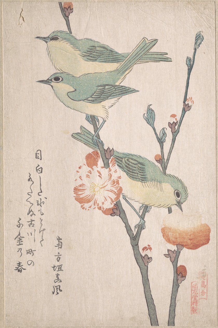 Japanske brillefugler på en gren av et ferskentre, fra serien En samling fugler (Tori awase), fra surimonoalbumet Vårregn (Harusame surimono-jō, bind 3) av Kubo Shunman