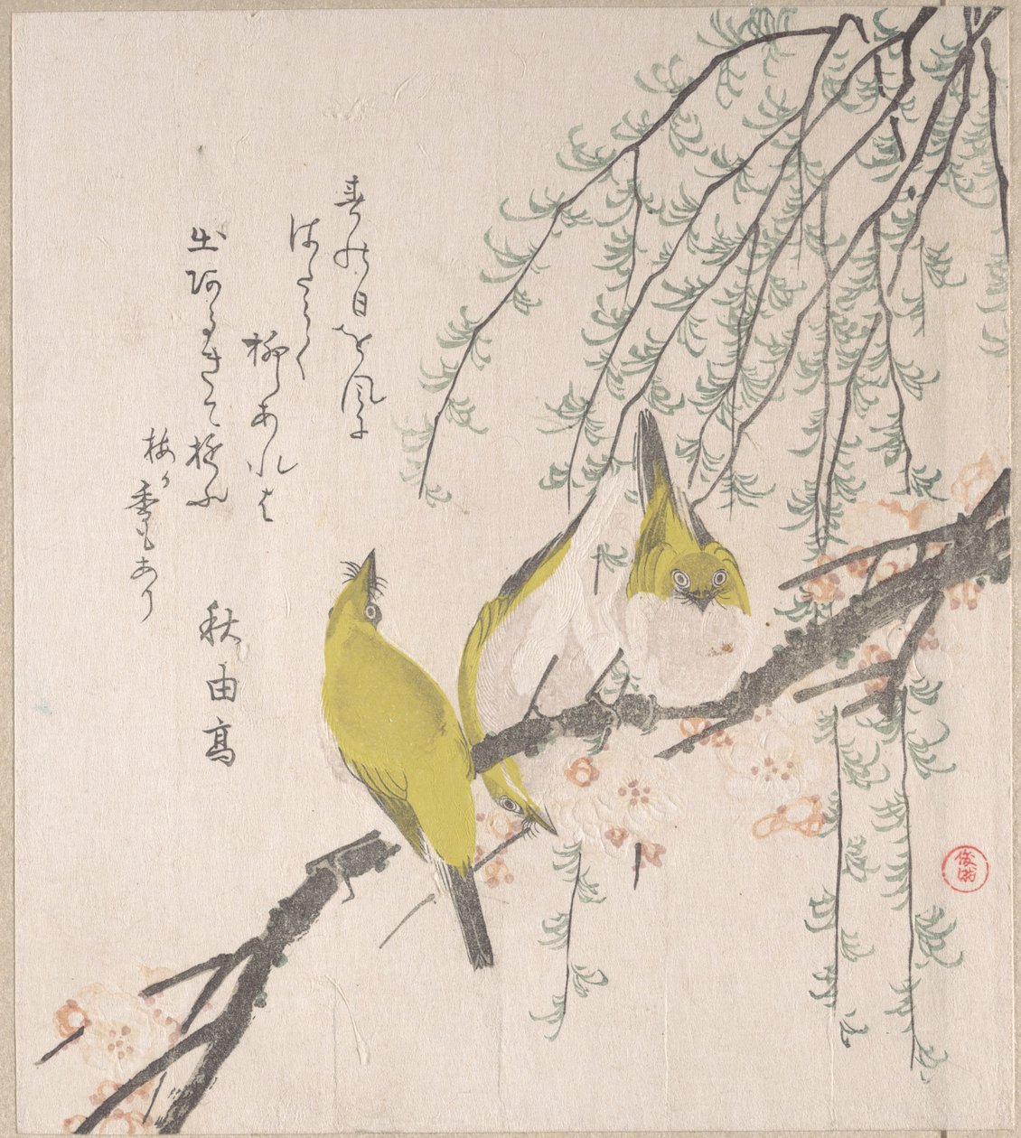 Japanske brillefugler med plommetre og pil, fra surimonoalbumet Vårregn (Harusame surimono-jō, bind 3) av Kubo Shunman