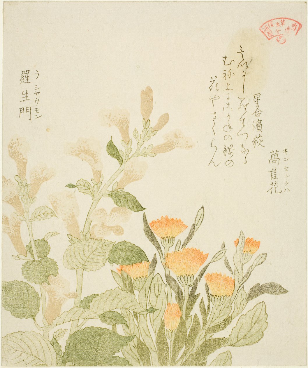 Kasumi Poesi Circle - Marigold (Kinsenka) og Rashomon Flowers av Kubo Shunman