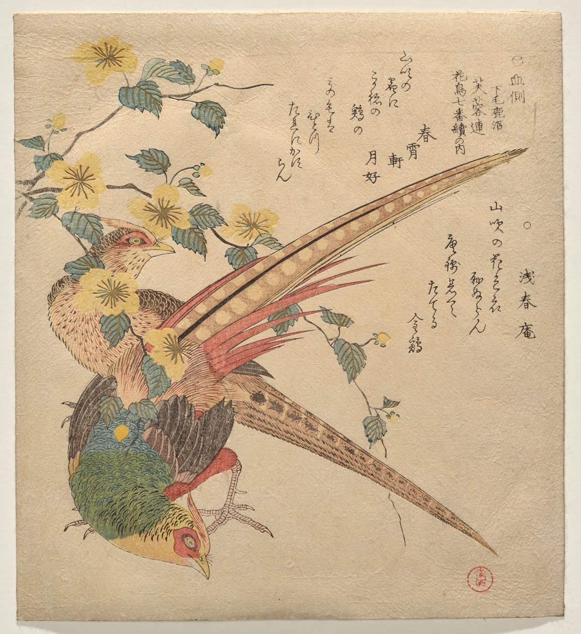 Et par kinesiske fasaner og en gren av yamabuki-blomster av Kubo Shunman