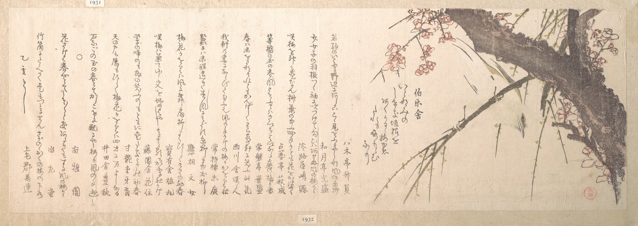 Plommeblomst av Kubo Shunman
