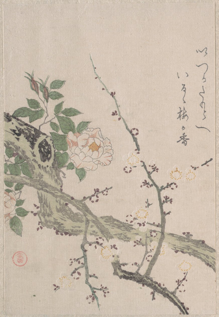 Roser og plommeblomster av Kubo Shunman