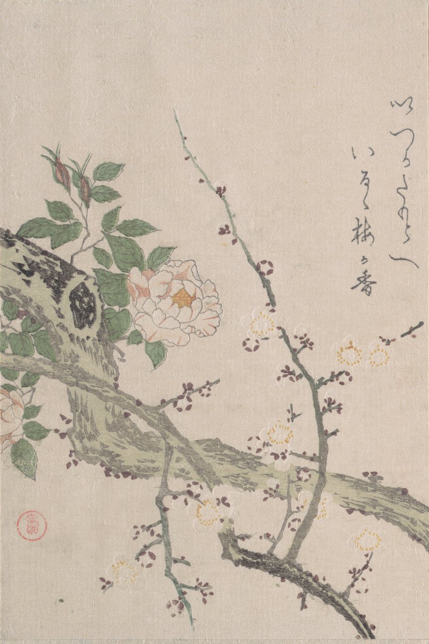 Roser og plommeblomster, 1800-tallet. av Kubo Shunman