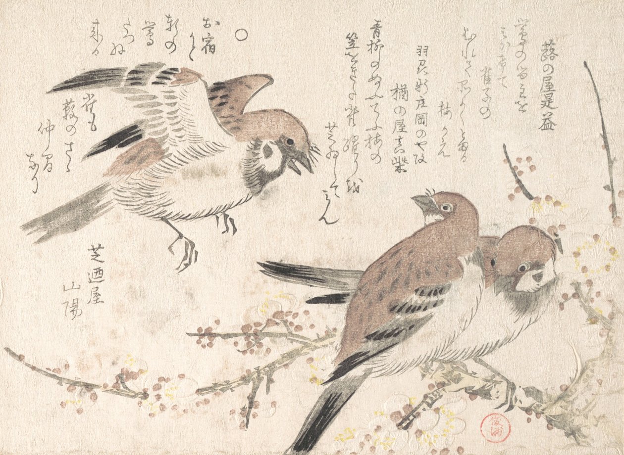 Sparrows and Plomme Blossoms, 1800-tallet. av Kubo Shunman