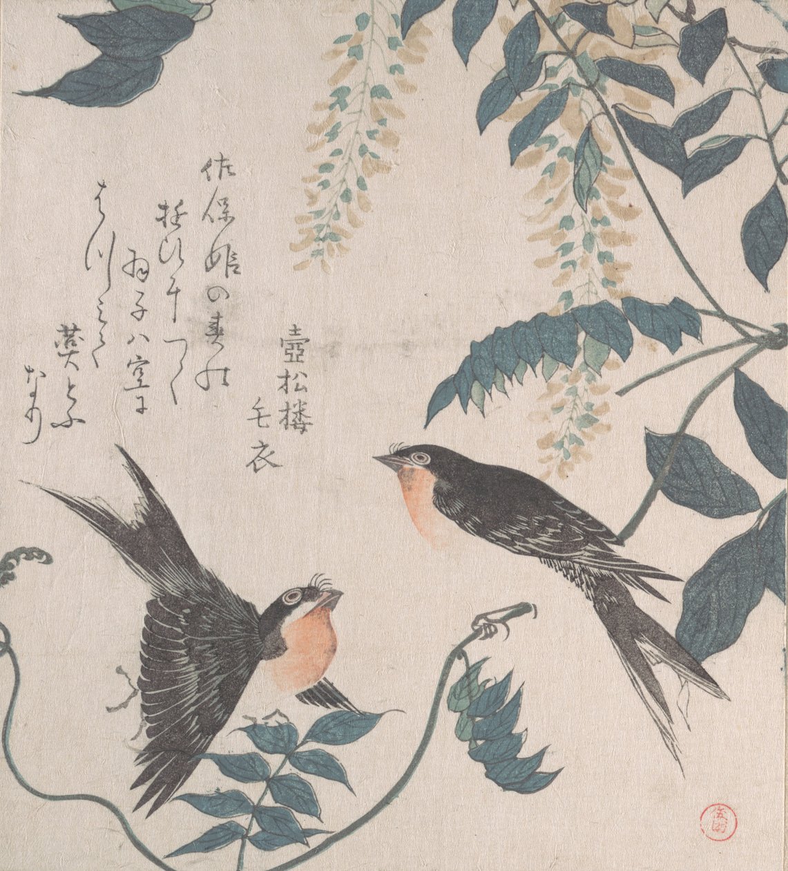Svaler og Wisteria, 1800-tallet. av Kubo Shunman