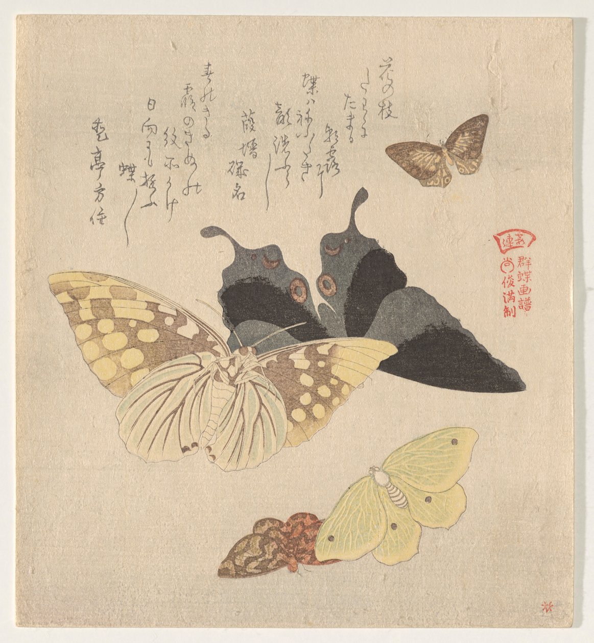 Malerhåndboken til Flock of Butterflies (Guncho? Gafu) av Kubo Shunman