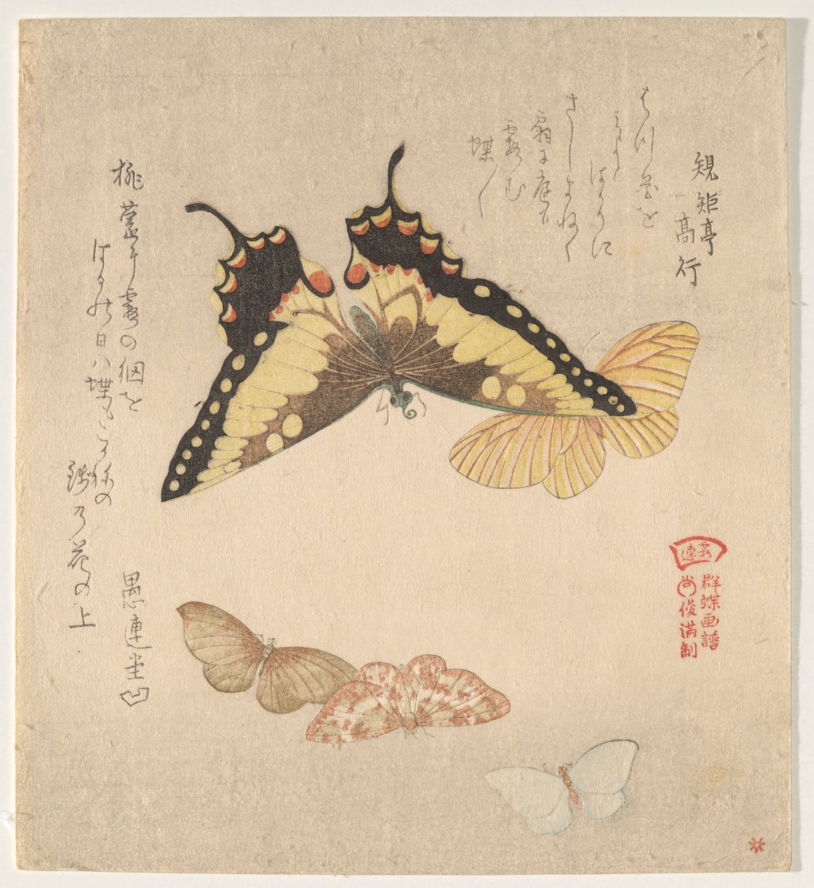 Malerhåndboken til Flock of Butterflies (Guncho? Gafu) av Kubo Shunman