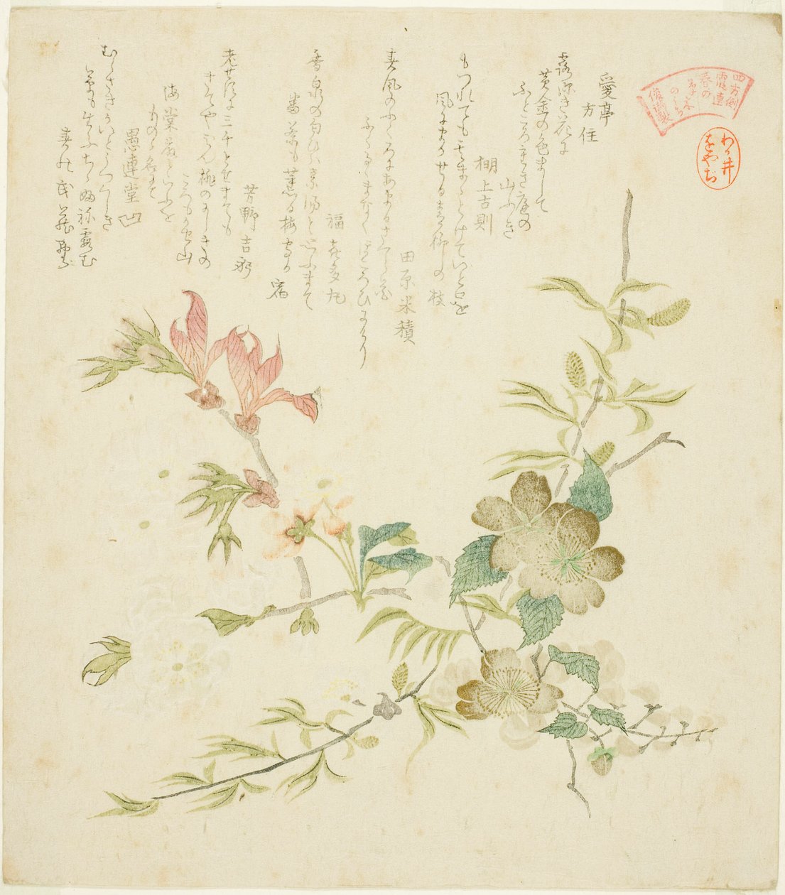 Ulike vårblomster, fra serien "Vårplanter og trær for Kasumi Poetry Circle of the Yomo Group (Yomogawa Kasumi-ren haru no kusaki no uchi)" av Kubo Shunman