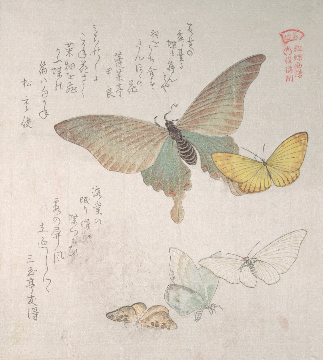 Ulike møll og sommerfugler, 1800-tallet. av Kubo Shunman