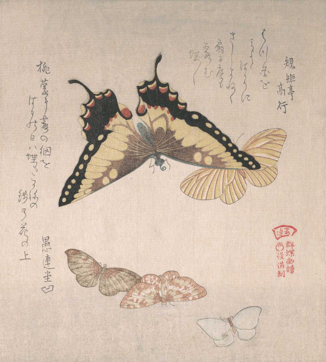 Ulike møll og sommerfugler, 1800-tallet. av Kubo Shunman