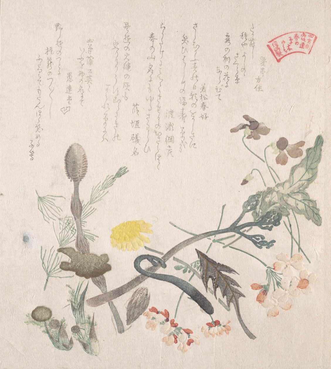 Fioler, Primroses og andre vårblomster, 1800-tallet. av Kubo Shunman