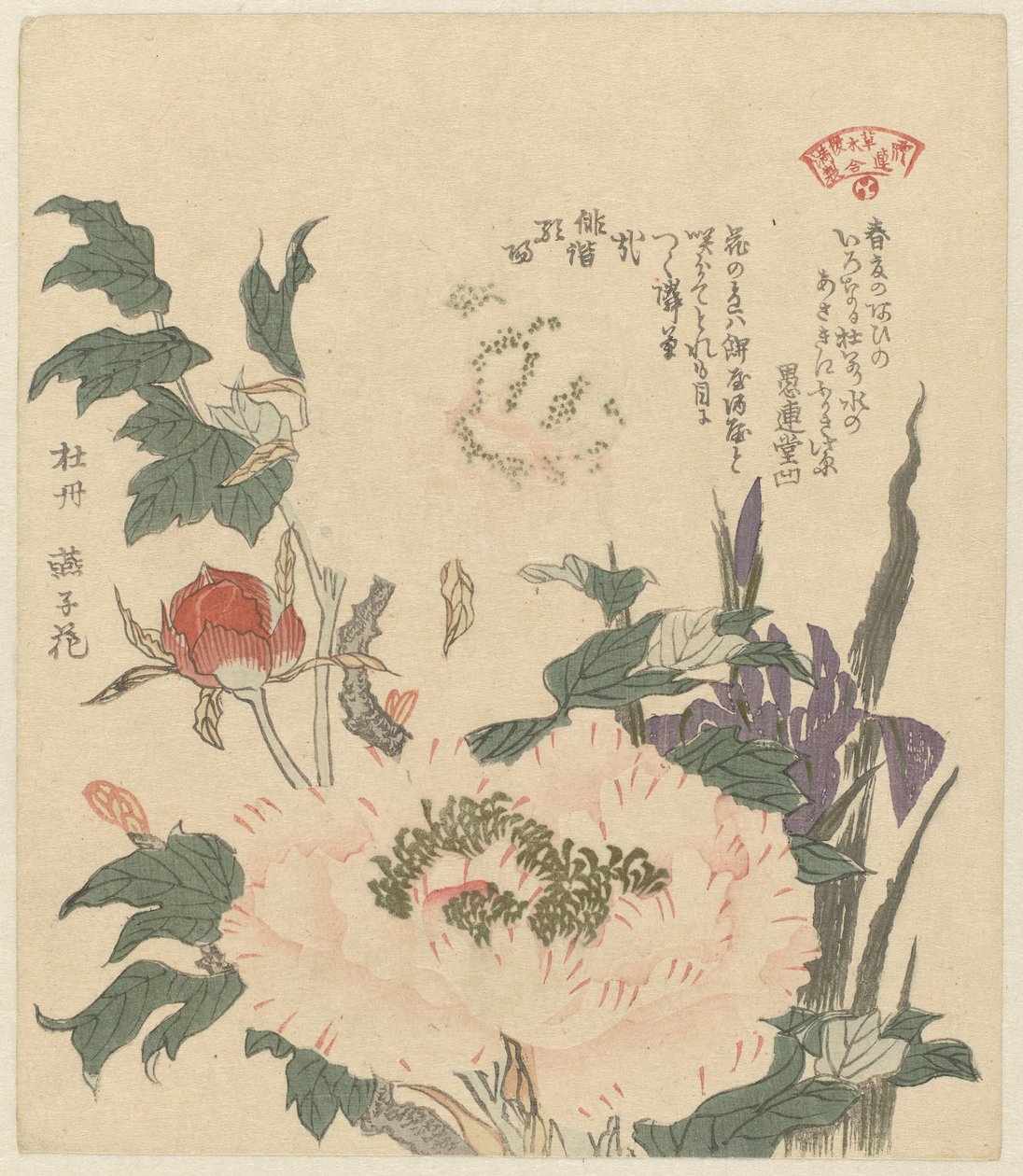 Pioenrozen en irissen Kakitsubata botan (title on object) Een selectie van planten voor de Kasumi dichtersvereniging (series title) Kasumiren sômoku awase (series title on object)   1363846   no       norwegian Successfully Translated  Original: Quail and  av Kubota Shunman