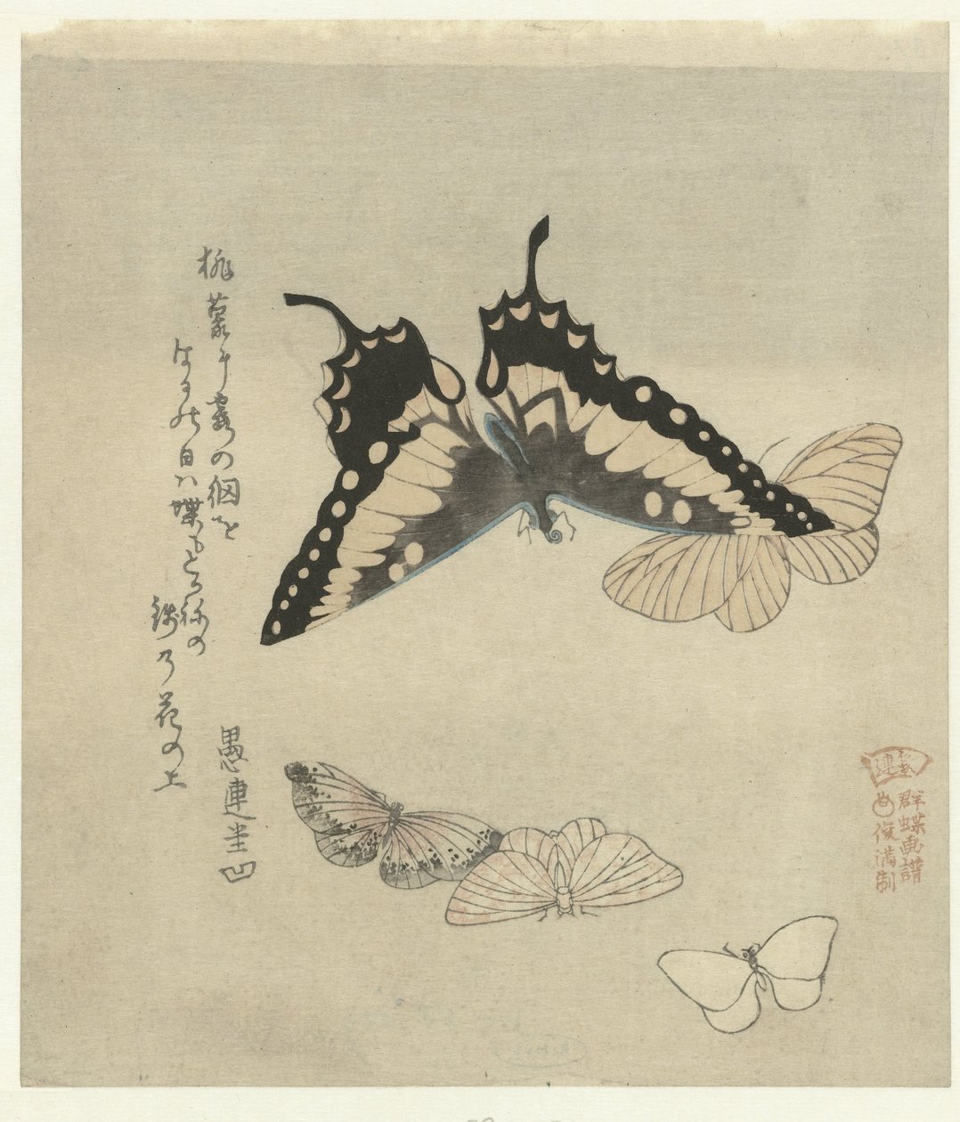 Fem sommerfugler En serie trykk med sommerfugler for Kasumi Poetry Society (serietittel) Kasumiren gunchô gafu (serietittel på objekt) av Kubota Shunman