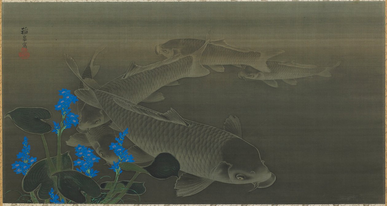Karpe, Edo-periode, tidlig 1800-tall. av Kuroda Toko