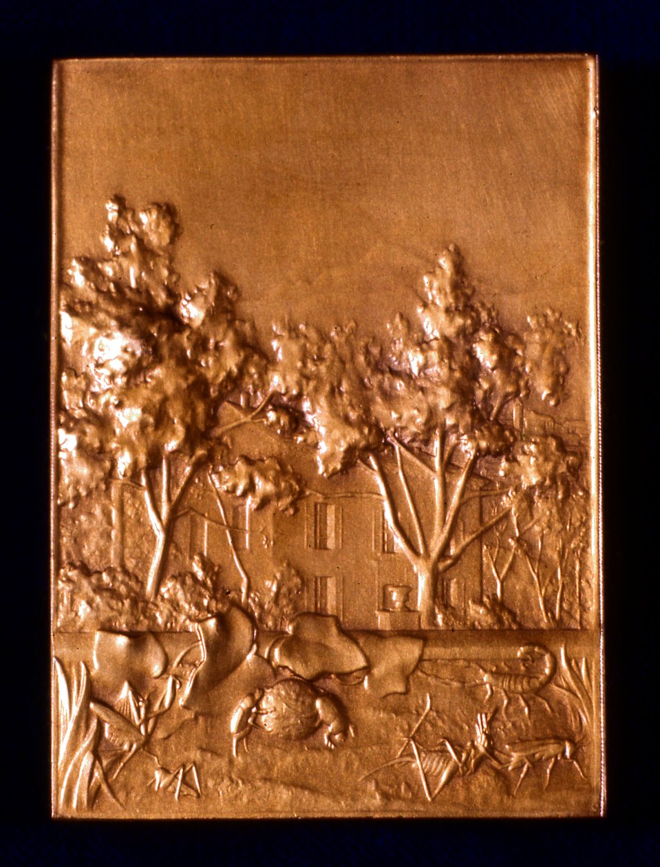Insekter, 1911 av L. Patriarche