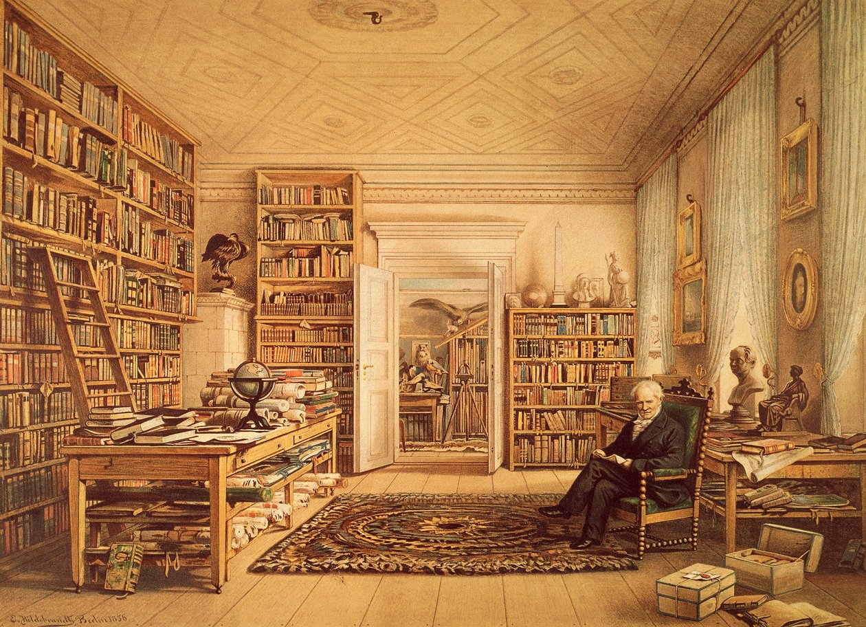 Portrett av Alexander von Humboldt (Berlin av Amadeo (after) Modigliani