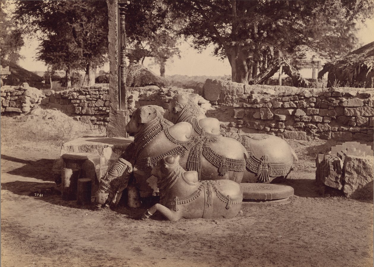  av Lala Deen Dayal