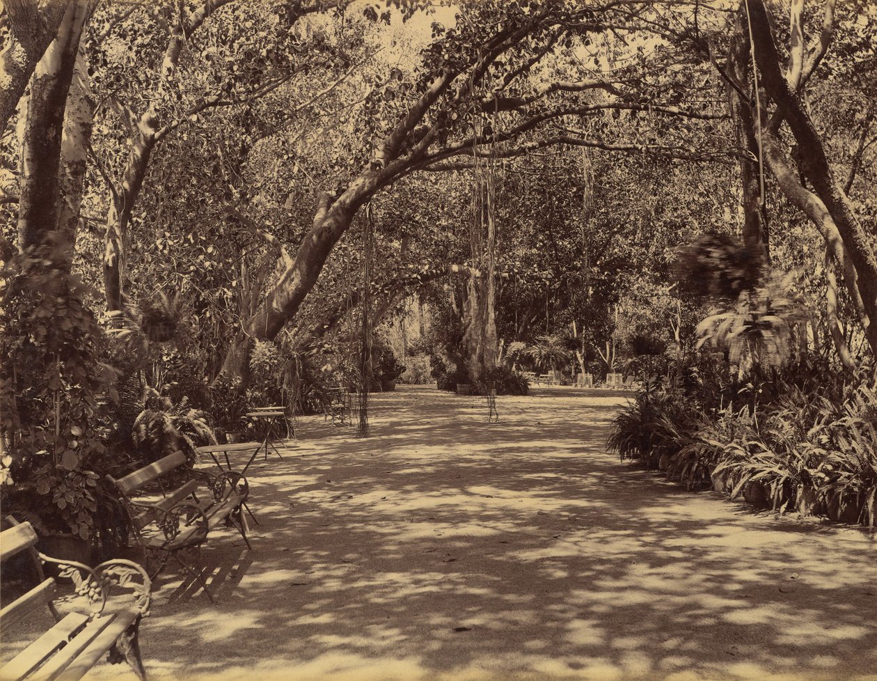 Sukh-Vilas Palace Garden, 1880-90. av Lala Deen Dayal
