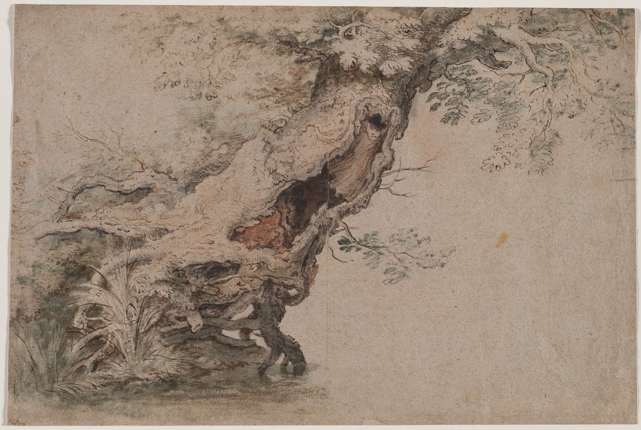 Hollow Tree, etter Roelant Savery av Lambert Doomer