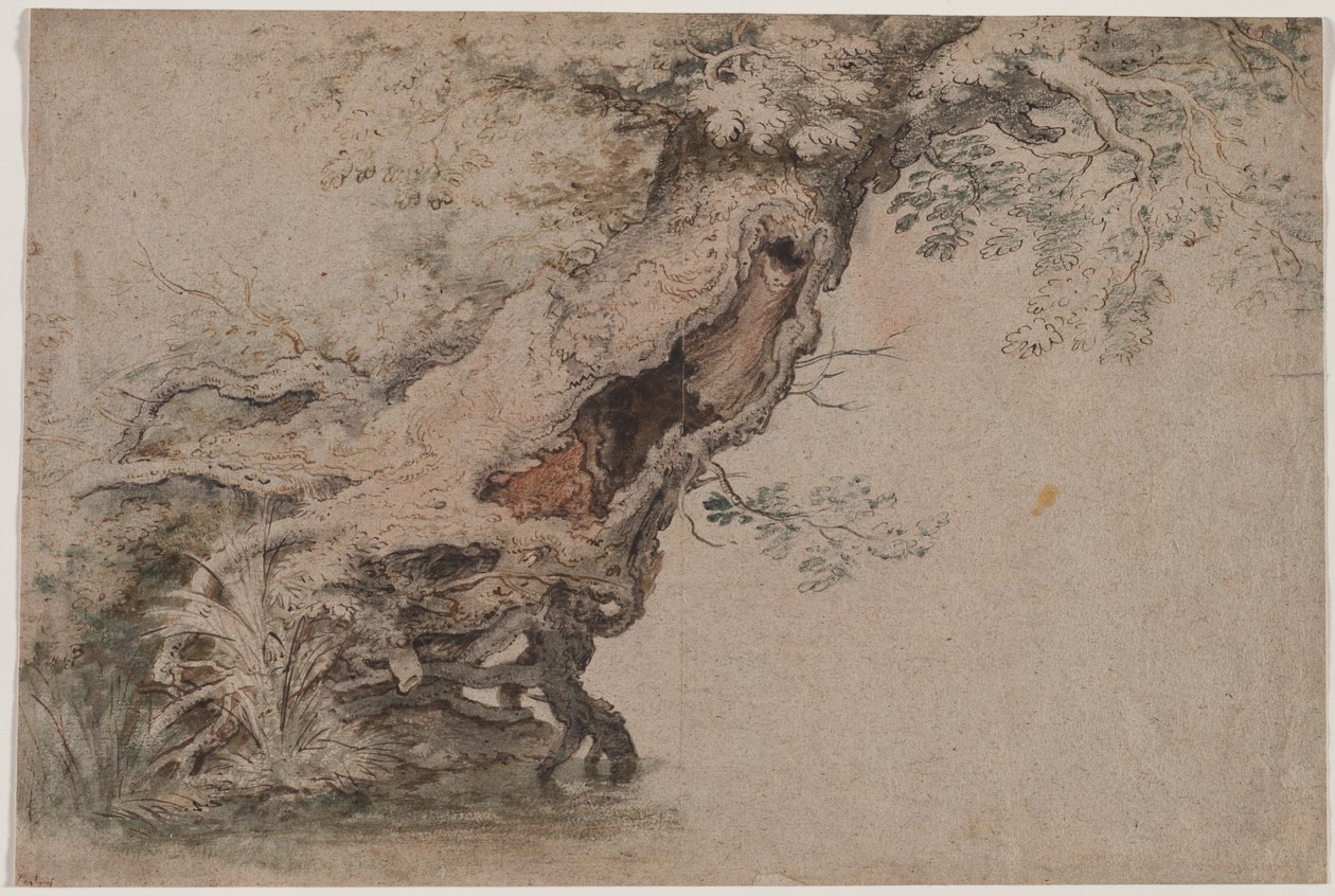 Hollow Tree, etter Roelant Savery, etter 1670. av Lambert Doomer