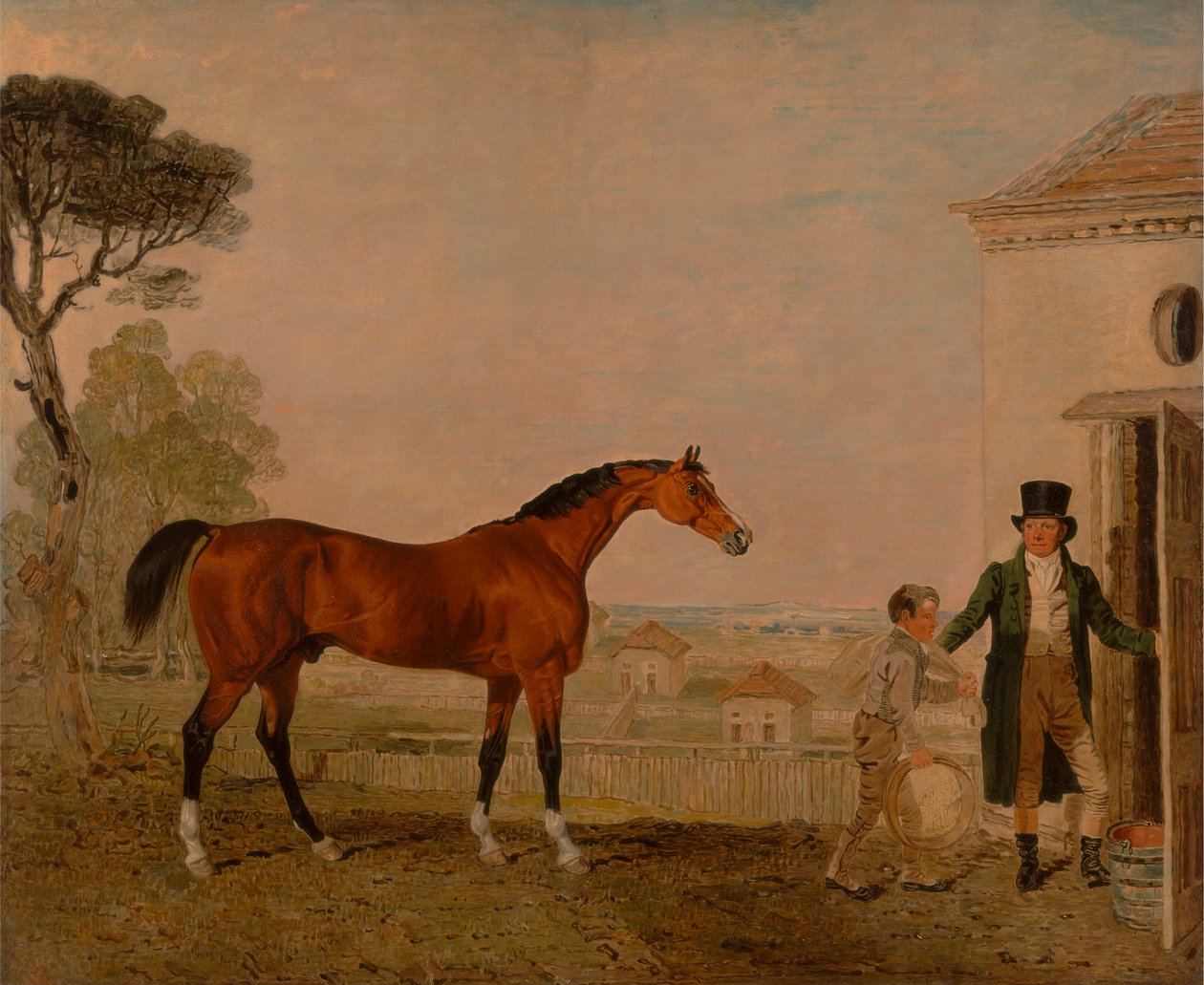 'Sultan' ved Marquess of Exeter's Stud, Burghley House av Lambert Marshall